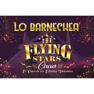 El Circo de las Estrellas Voladoras
