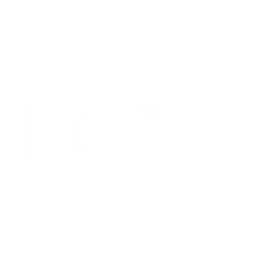 Ruta 41
