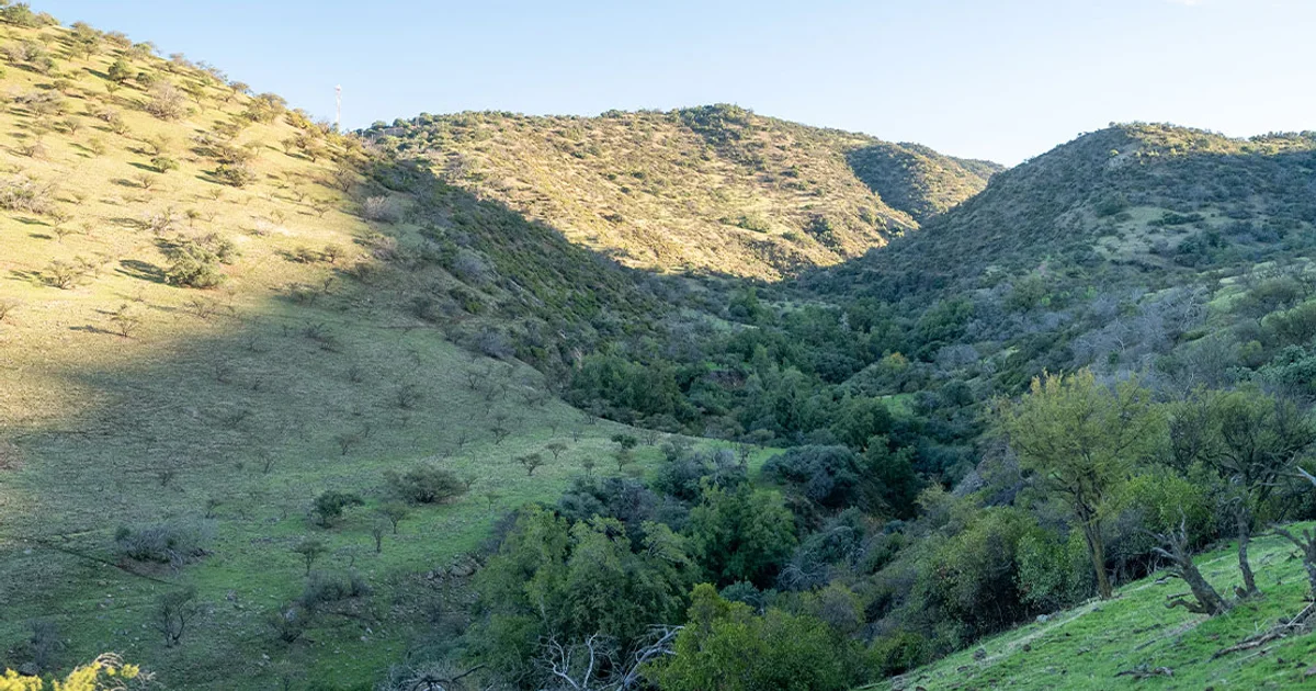 Parque Las Hualtatas