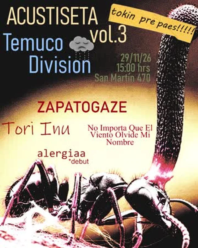 Festival Acustiseta Volumen 3 En Salón Valle Interior, Temuco