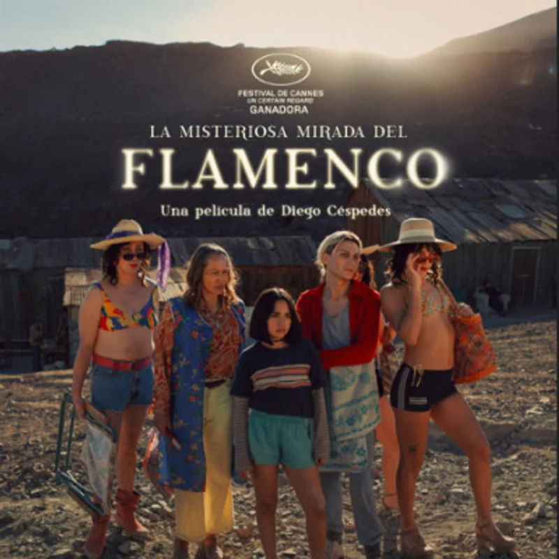 La Misteriosa Mirada del Flamenco - Cine Arte Viña del Mar
