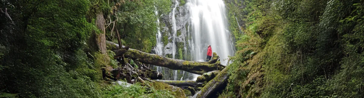 Trekking Parque Nacional Huerquehue