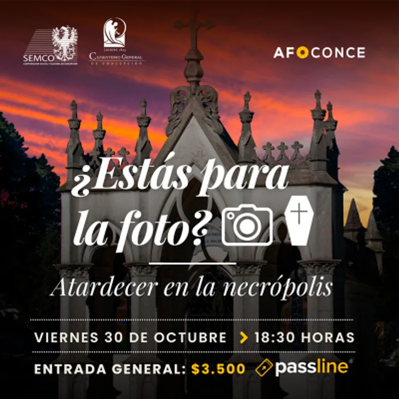 Atardecer en la necrópolis: ¿Estás para la foto?