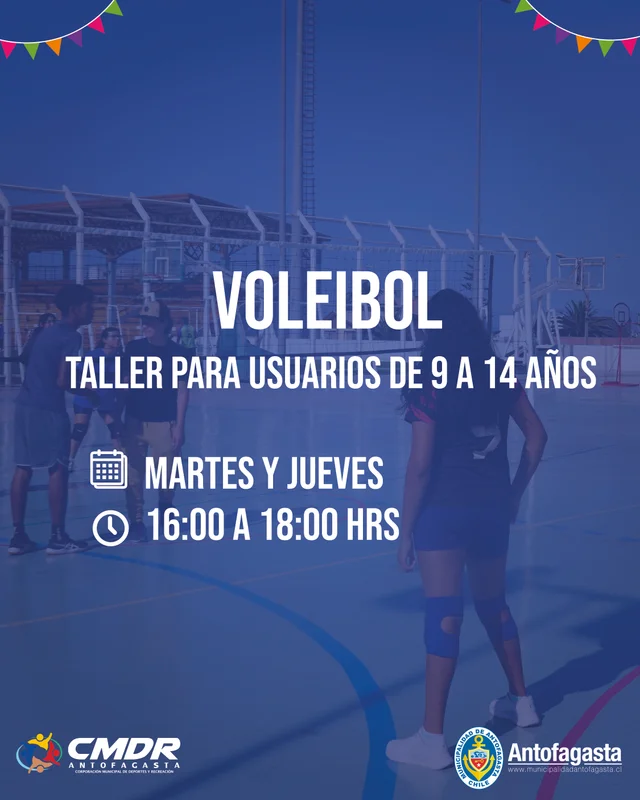 Voleibol Juvenil | niños