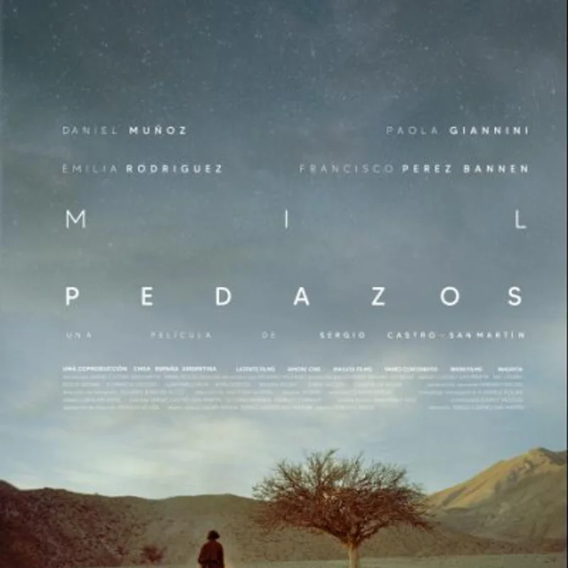 Mil pedazos
