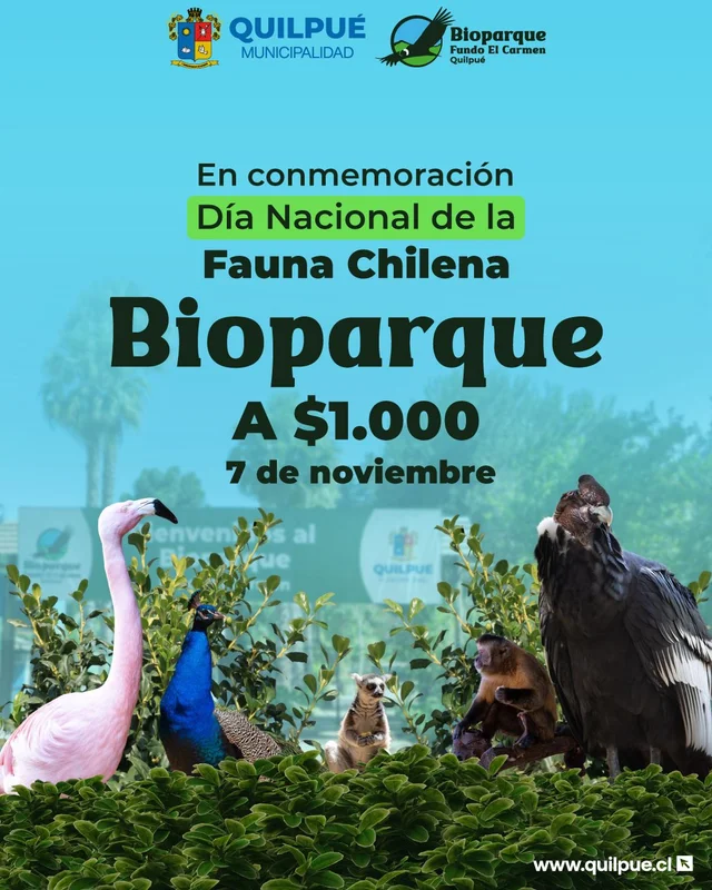 Entrada promocional $ 1000. Horario: de 10 a 11:30 horas. En conmemorarción al Día de la fauna chilena 7 de noviembre.