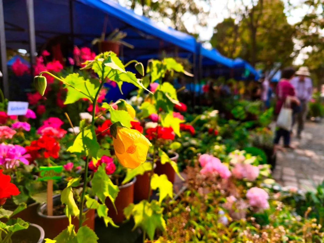18ª Expo Flores