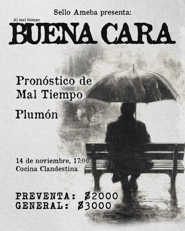 Buena Cara: Pronostico De Mal Tiempo + Plumon En Cocina Clandestina