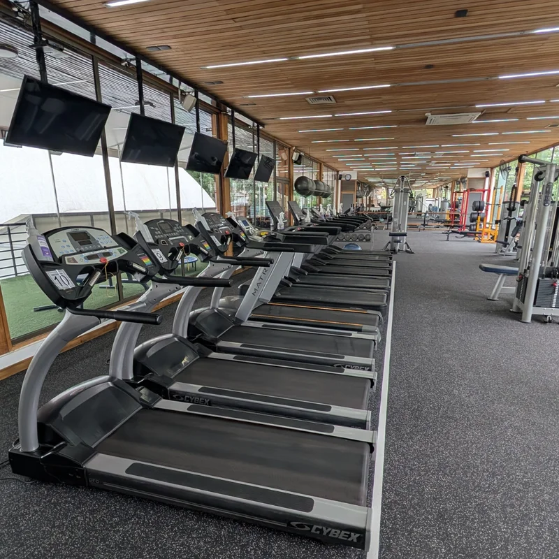 Mes Completo Fitness Básico