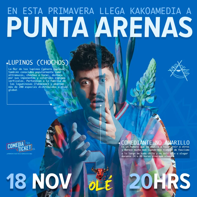 Kakoamedia en PUNTA ARENAS
