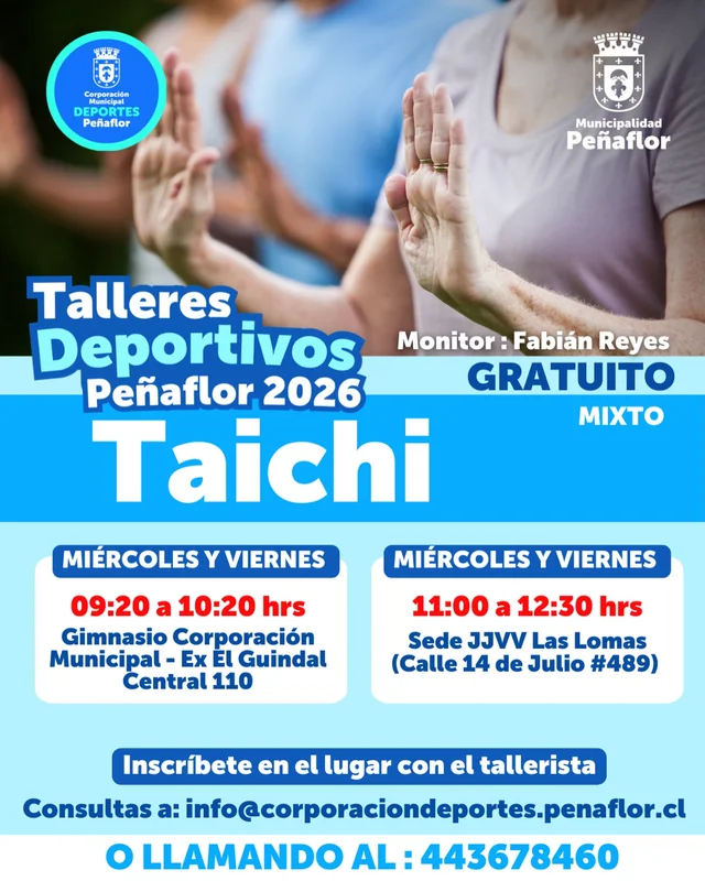 Taller de Taichi