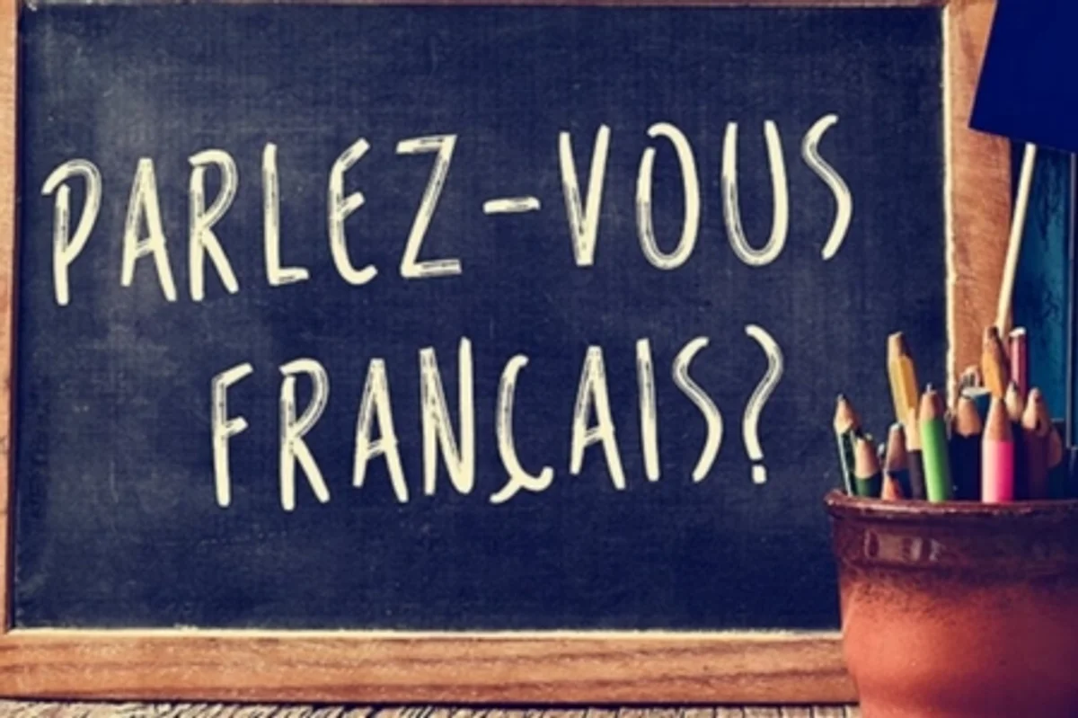 Francés intermedio 2