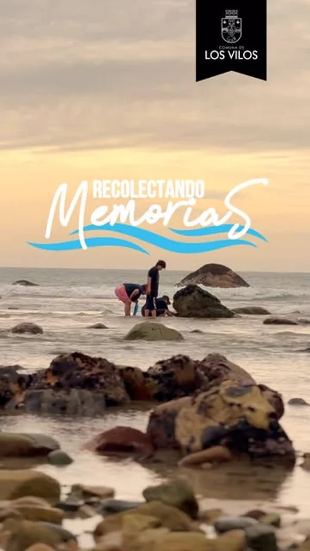 Recolectando Memorias