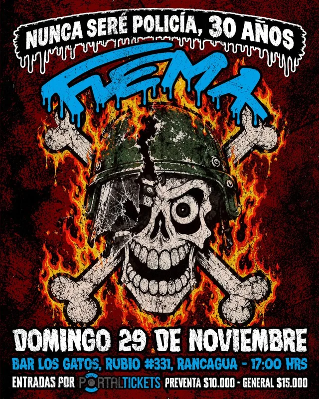 Flema En Bar Los Gatos, Rancagua