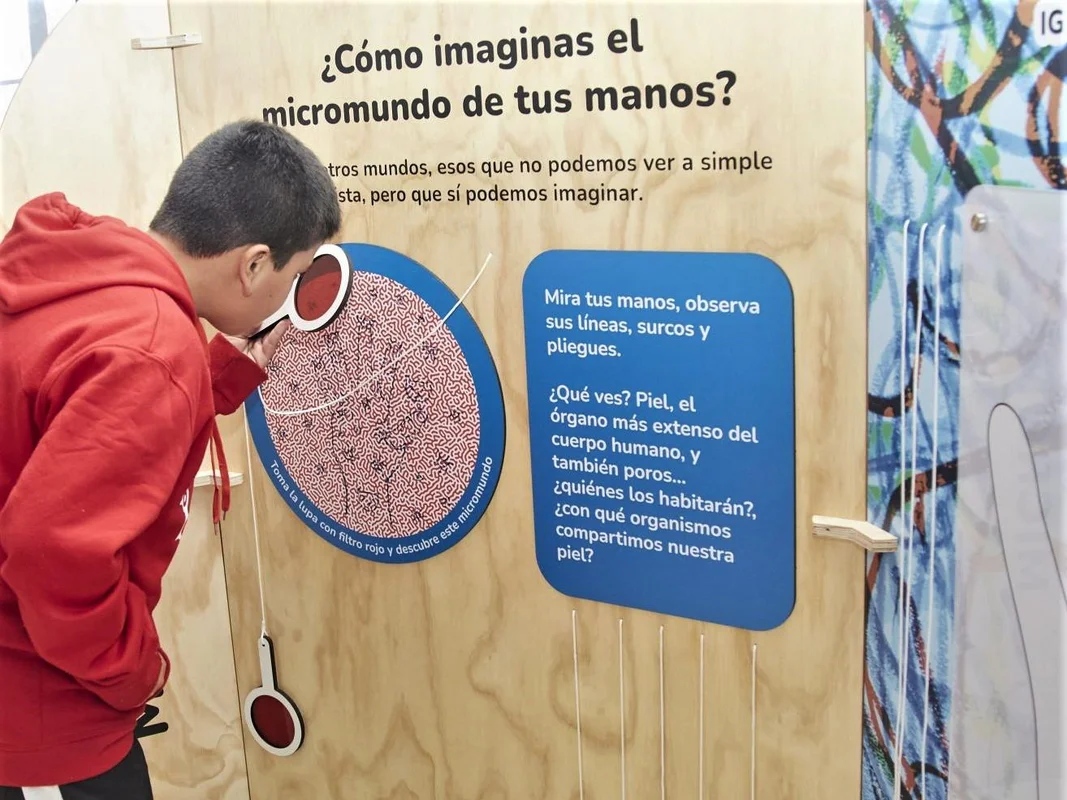 Exposición “Micromundos, ciencia y arte en tus manos”