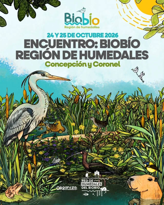 Primer Encuentro Regional de Humedales del Biobío: dos jornadas por la protección de estos ecosistemas