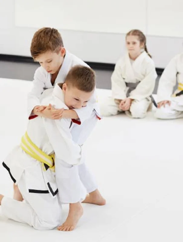 Aikido infantil