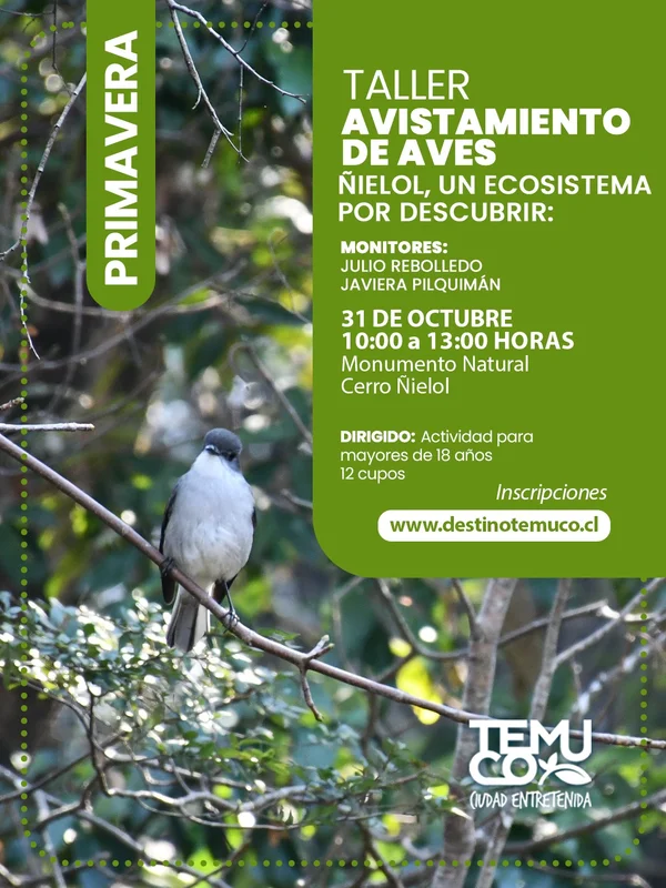 Taller avistamiento de aves