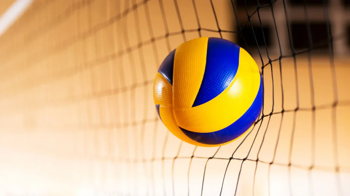 Vóleibol Escolar