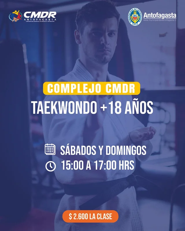 Taller Taekwondo Adultos | CDE