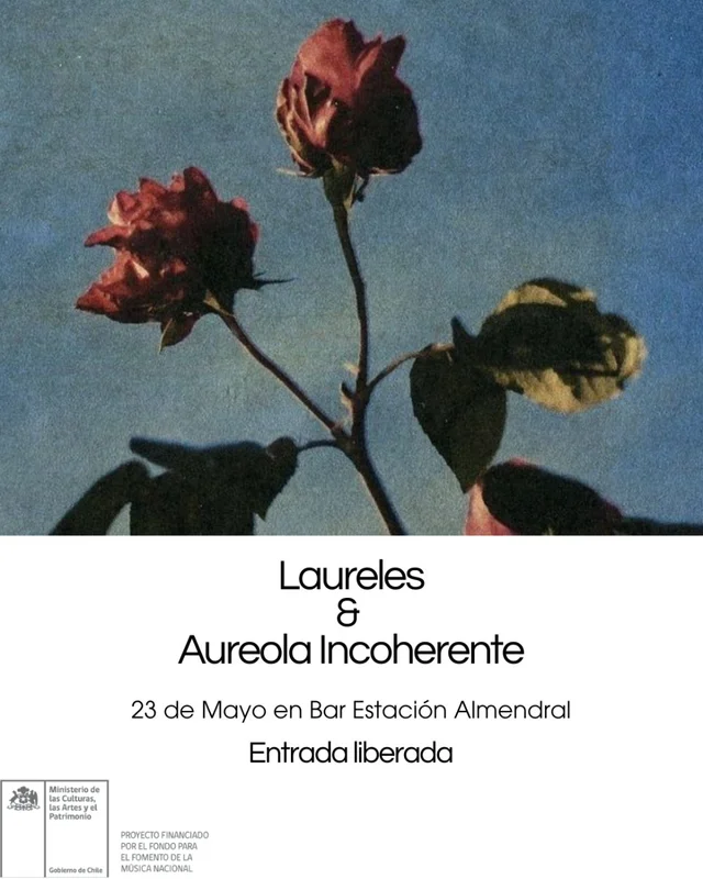 Laureles En San Felipe