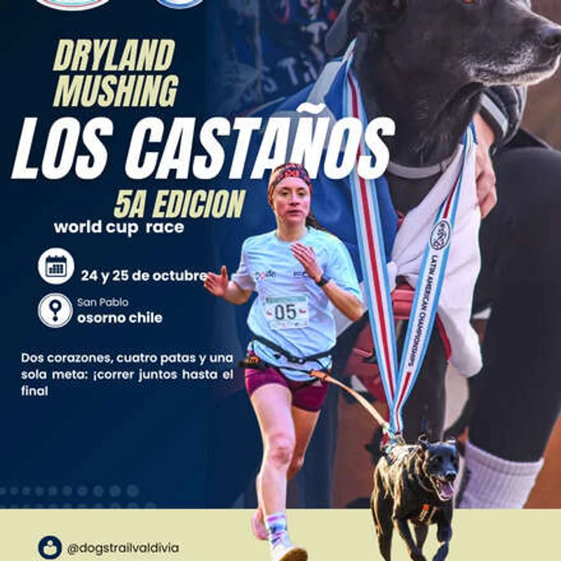 Dryland Mushing Los Castaños 5° Edicion