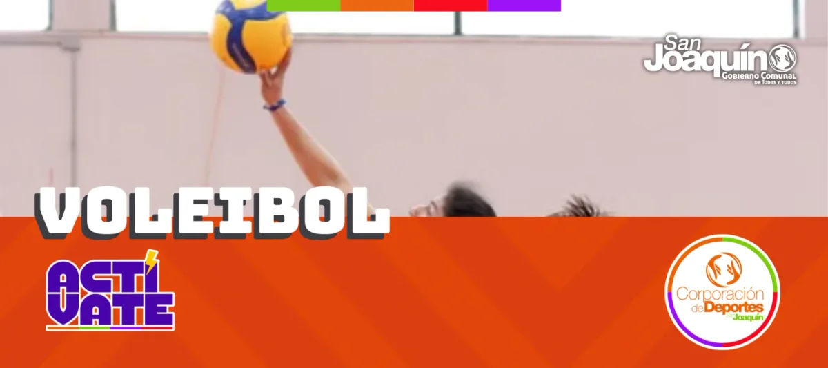Voleibol