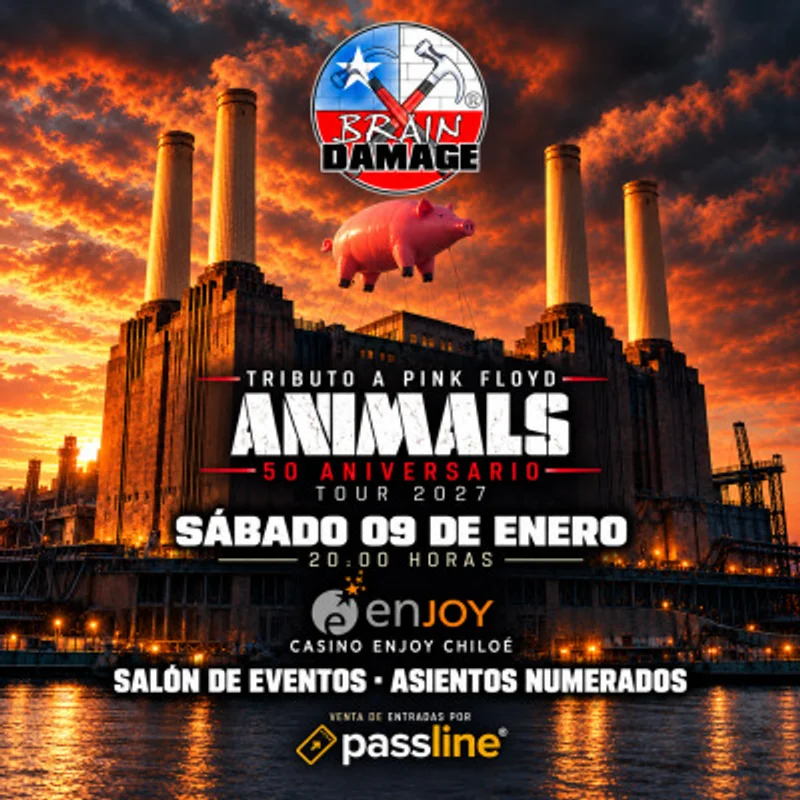 Brain Damage Enjoy Chiloe