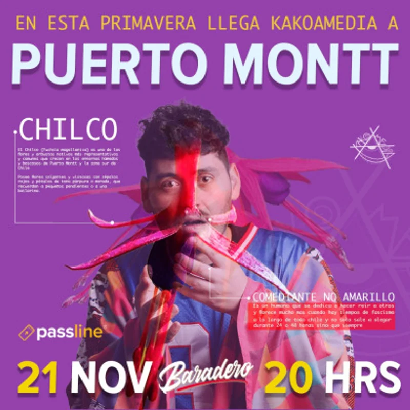 Kakoamedia En Puerto Montt
