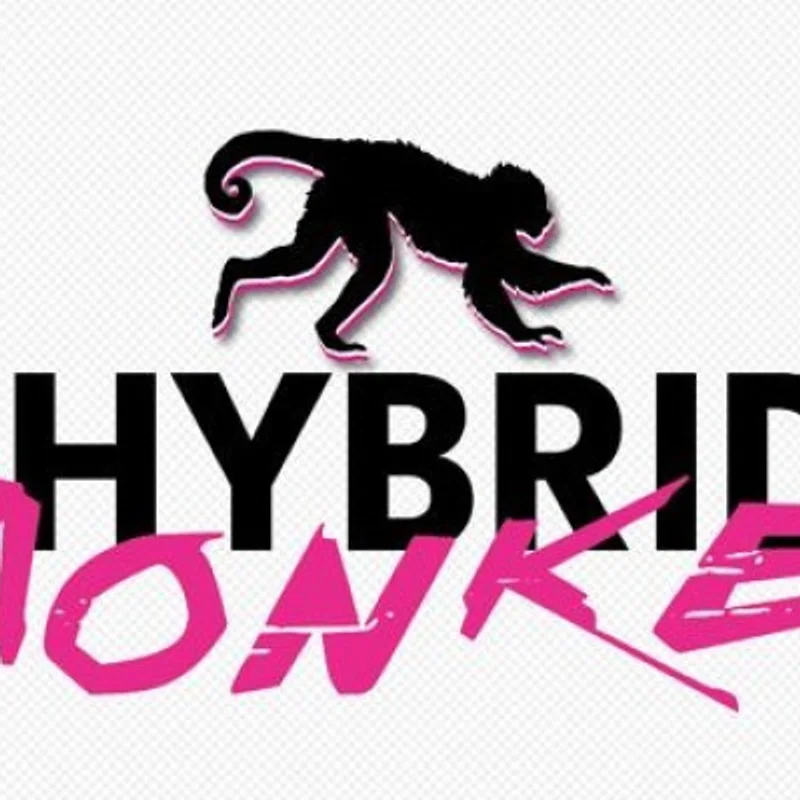 HYBRID MONKEY VI edición