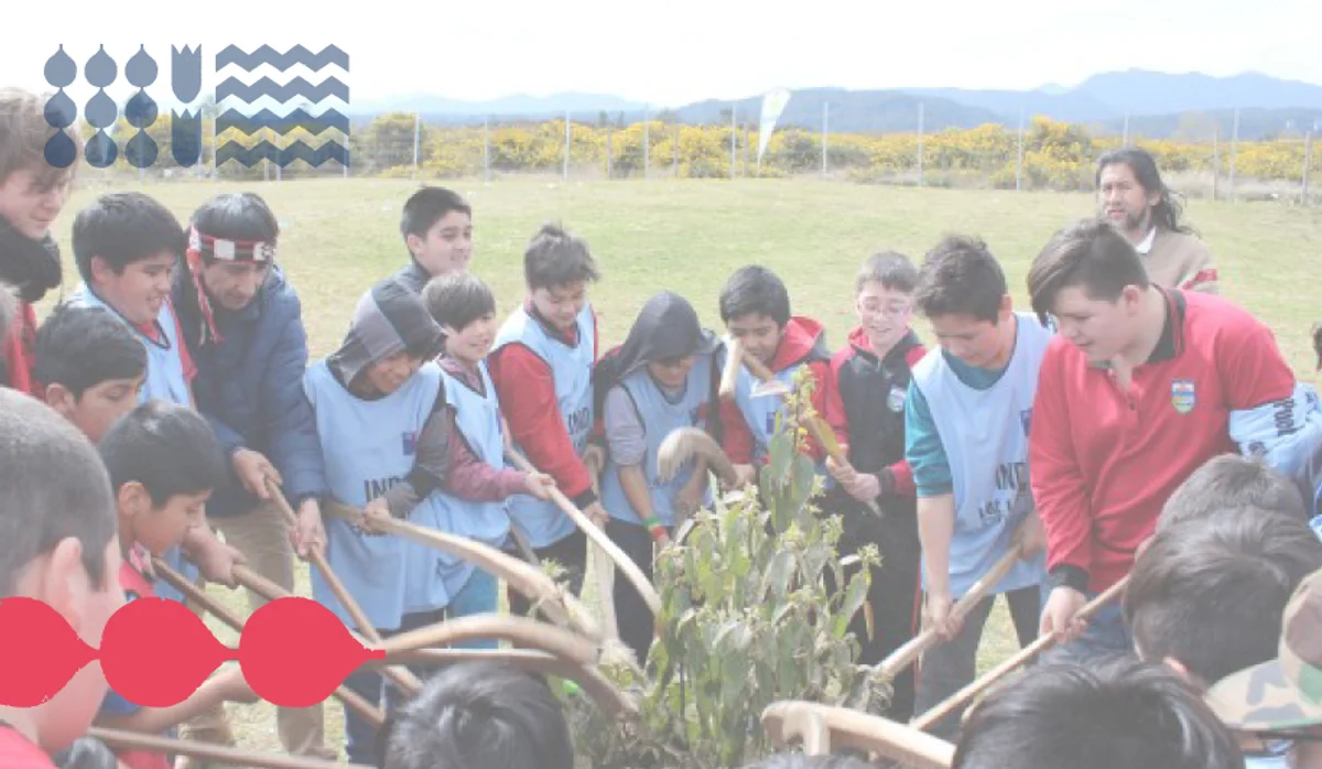 Taller de Entrenamiento Funcional - Nivel Inicial