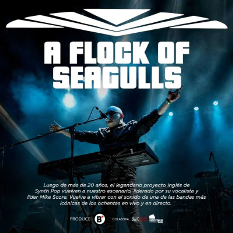 A Flock of Seagulls en vivo.