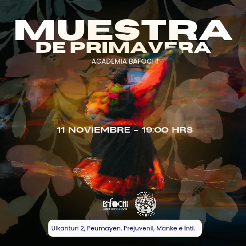 11 Nov - Muestra De Primavera -Academia Bafochi