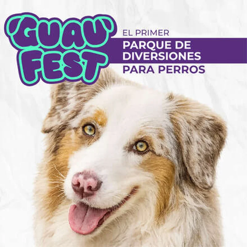 GuauFest Santiago - Edición 2