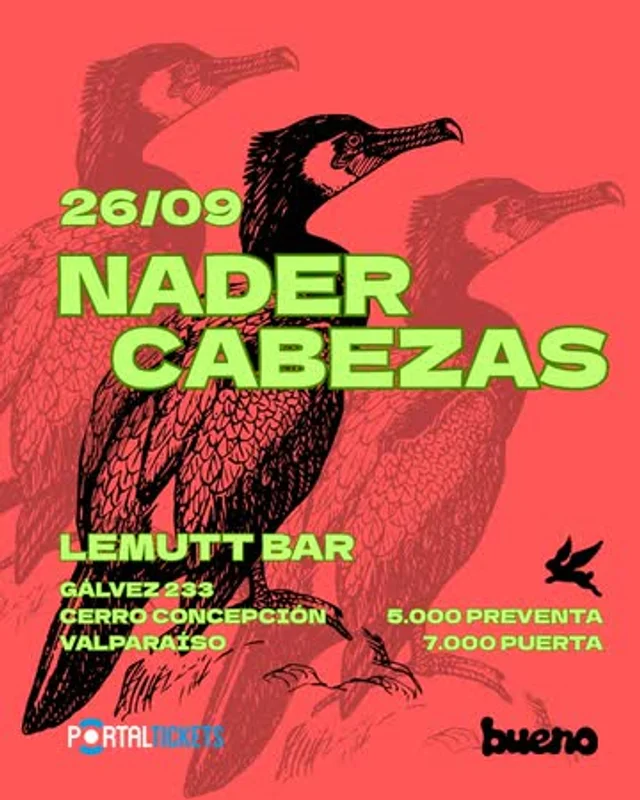 Nader Cabezas En Lemutt Bar, Valparaíso