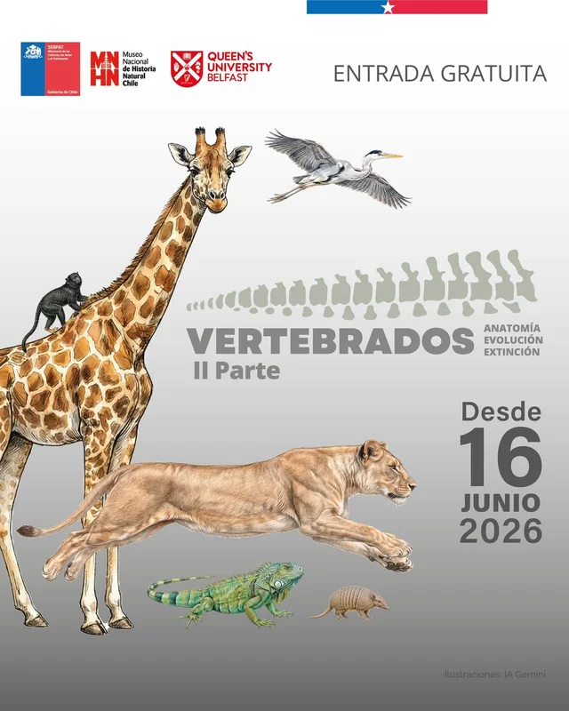 Vertebrados II Parte en el Museo de Historia Natural
