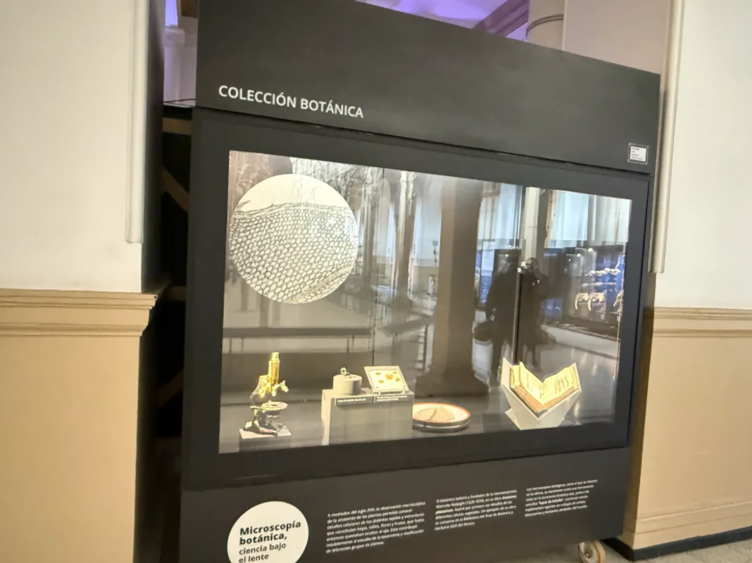 Vitrina de objeto destacado: Microscopía botánica