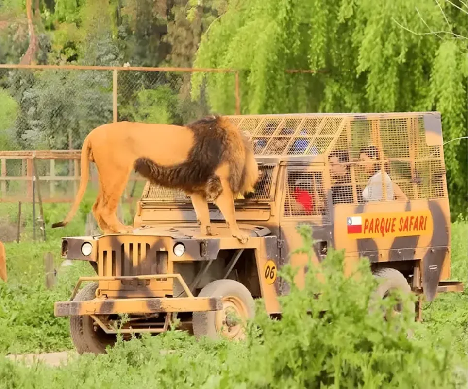 Full Experience Parque Safari + Desayuno de Campo