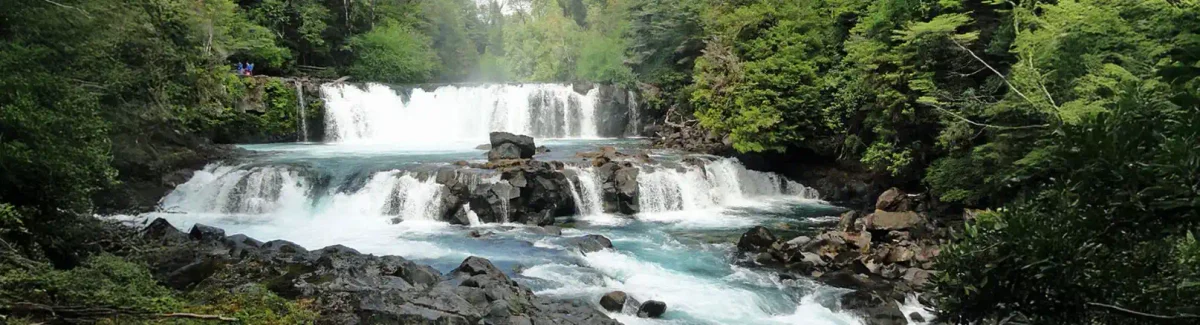 Tour a Huilo Huilo desde Pucón