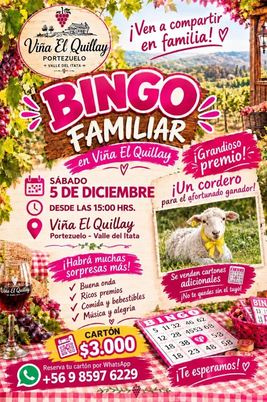 Bingo familiar en Viña el Quillay