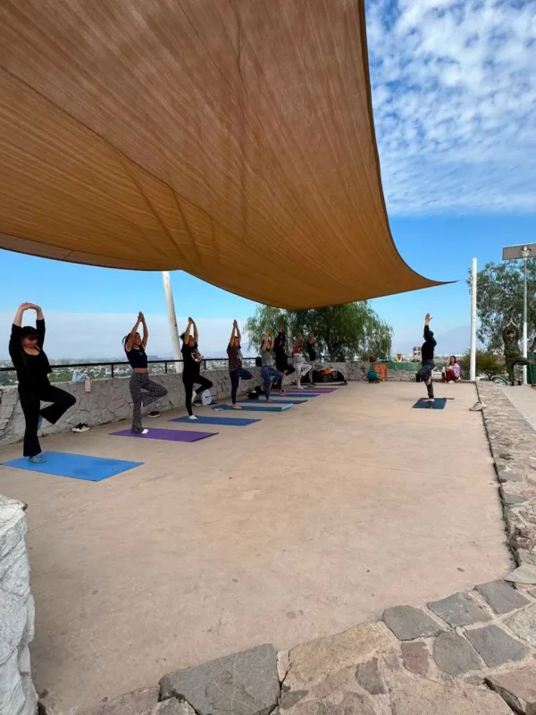 Yoga en el Parque