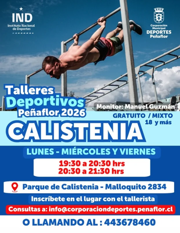Taller de Calistenia