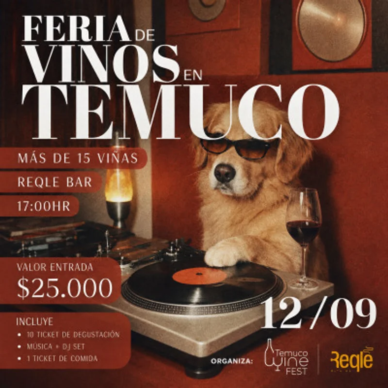 Feria De Vinos En Temuco