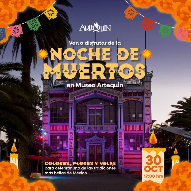 Noche de Museo en Artequin