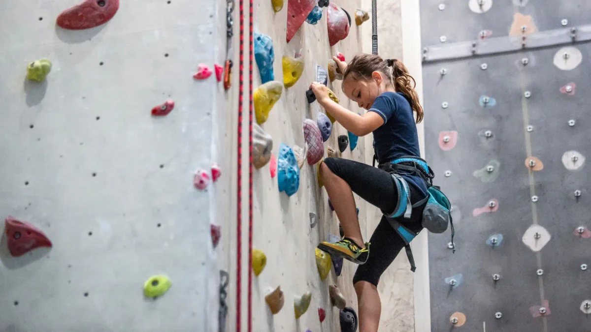 Escalada Escolar