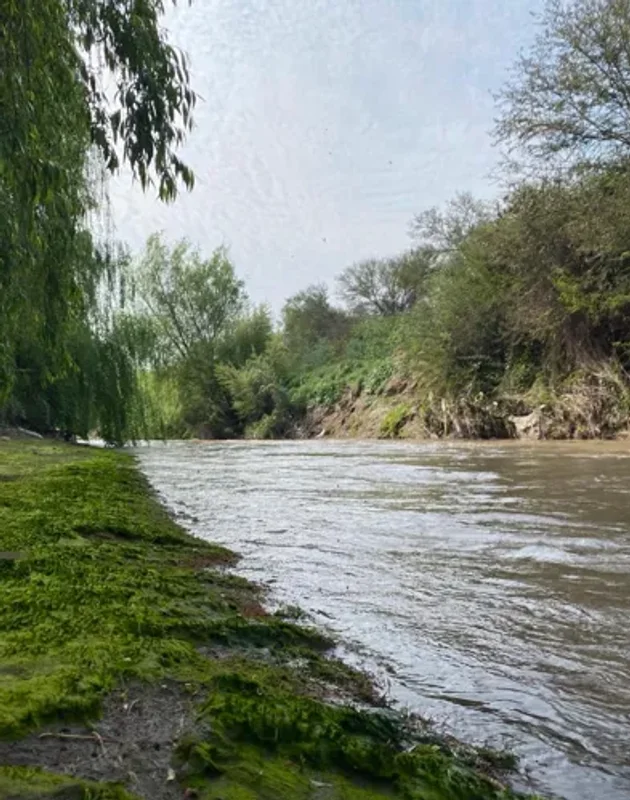 Jornada de Limpieza y Cuidado: Humedal Urbano Río Mapocho