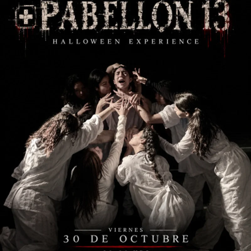 Pabellón 13 - Dvg Dance Project