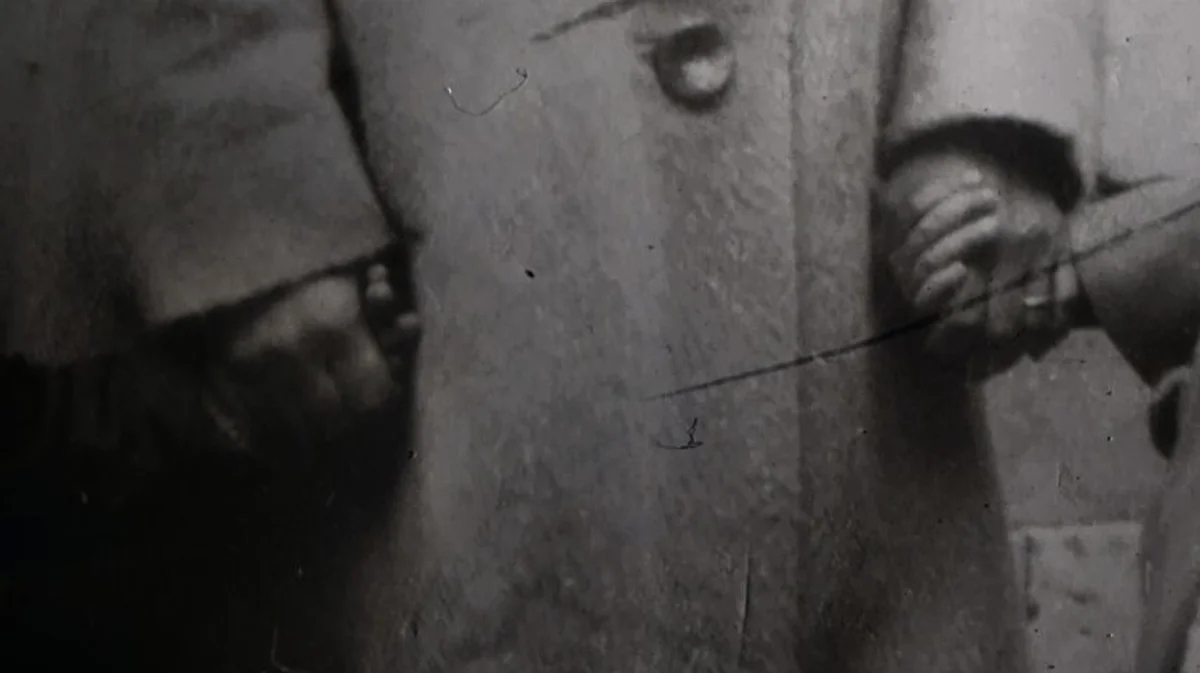 Cine: Luz Obscura | Foco Susana de Sousa Dias | FIDOCS 30