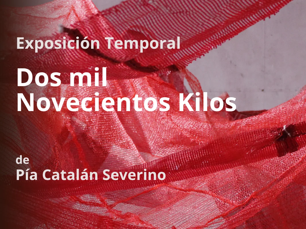 Exposición Temporal "Dos mil novecientos kilos"