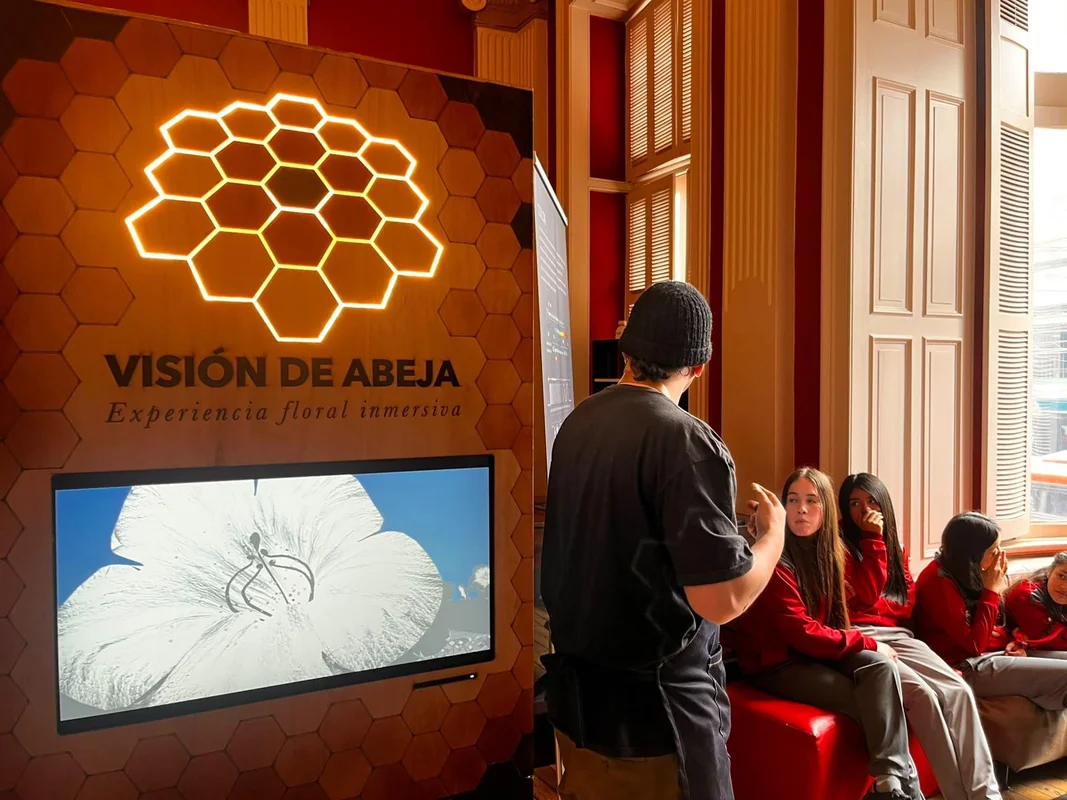 Visión de Abeja: Experiencia Floral Inmersiva
